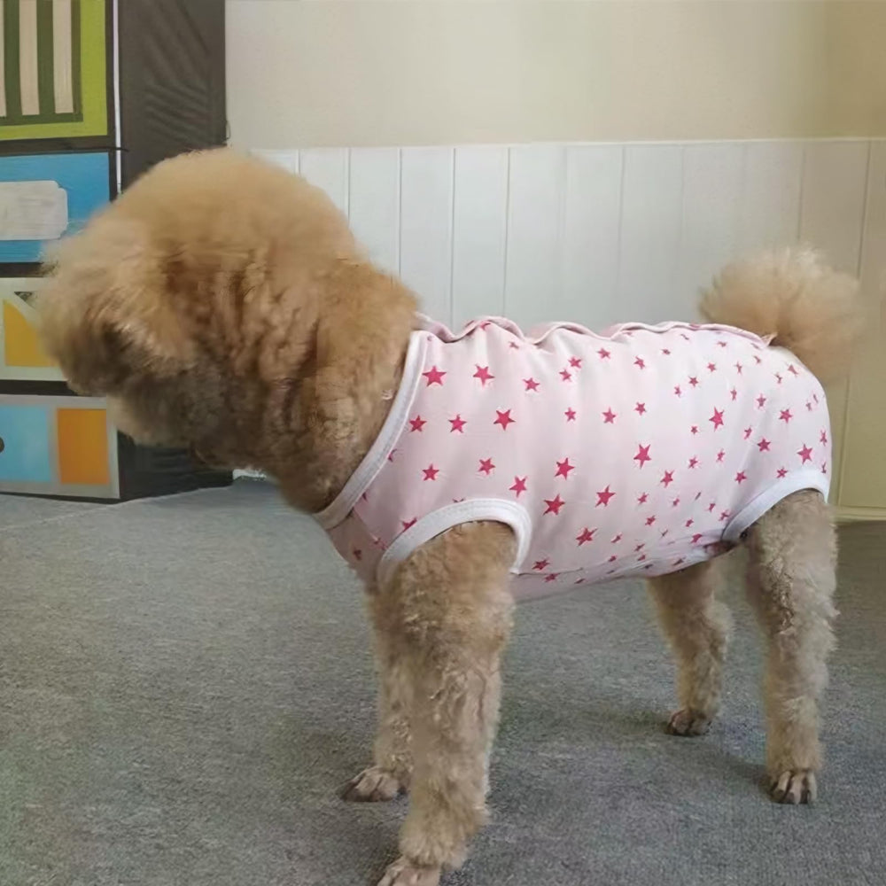 Paipeper dog recovery suit all-season wear suitable for indoor-outdoor use.