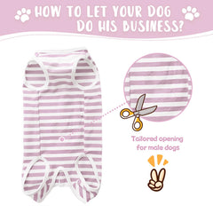 Paipeper dog recovery suit shows back snap closure design for easy wear