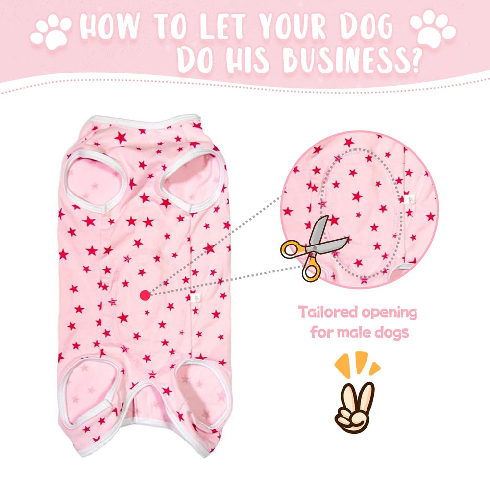 Paipeper dog wearing recovery suit demonstrates easy slip-on design and relaxed movement.