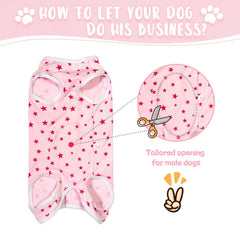 Paipeper dog wearing recovery suit demonstrates easy slip-on design and relaxed movement.