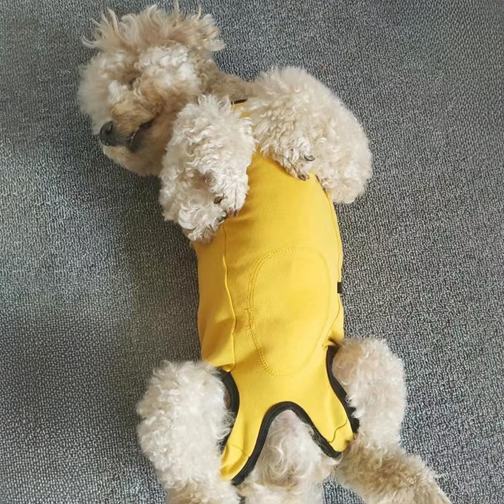 Paipeper dog recovery suit belly-cut design enables potty access