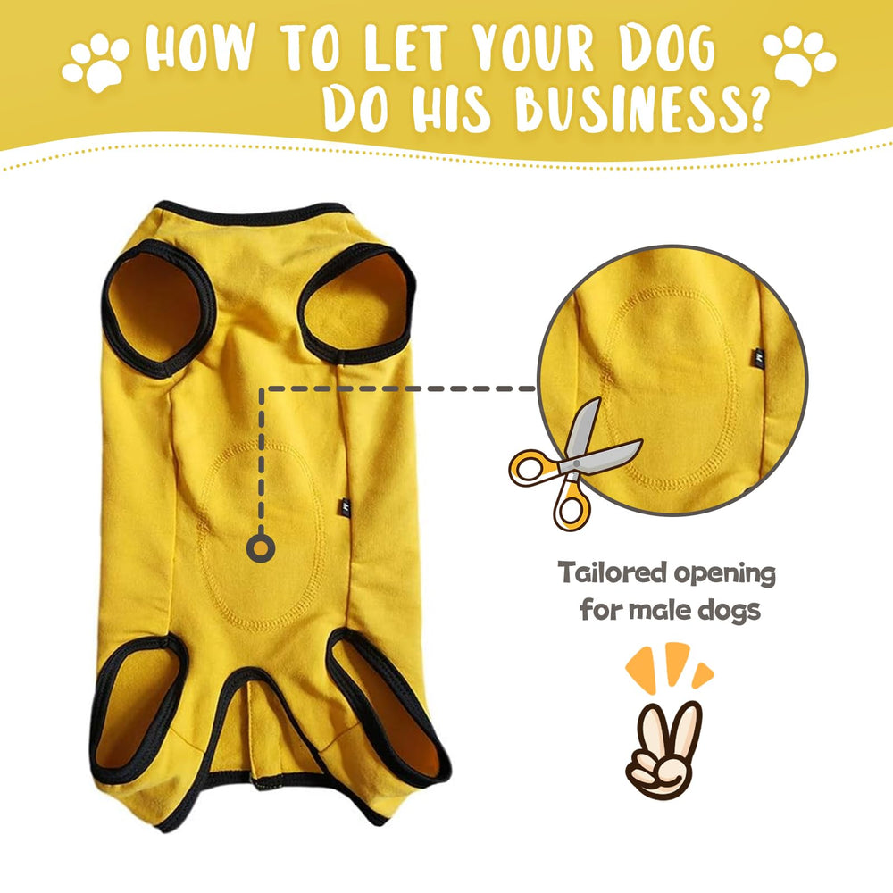 Close-up of Paipeper fabric: soft, breathable, and comfortable for pets