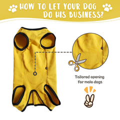 Close-up of Paipeper fabric: soft, breathable, and comfortable for pets