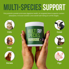 Pair Pet dissolving powder in water illustrates quick, hassle-free administration.