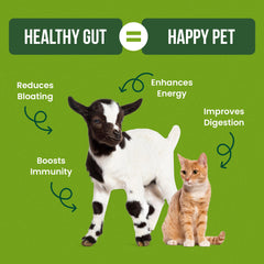 Pair Pet probiotics for dogs and cats mixed into food demonstrates easy use.