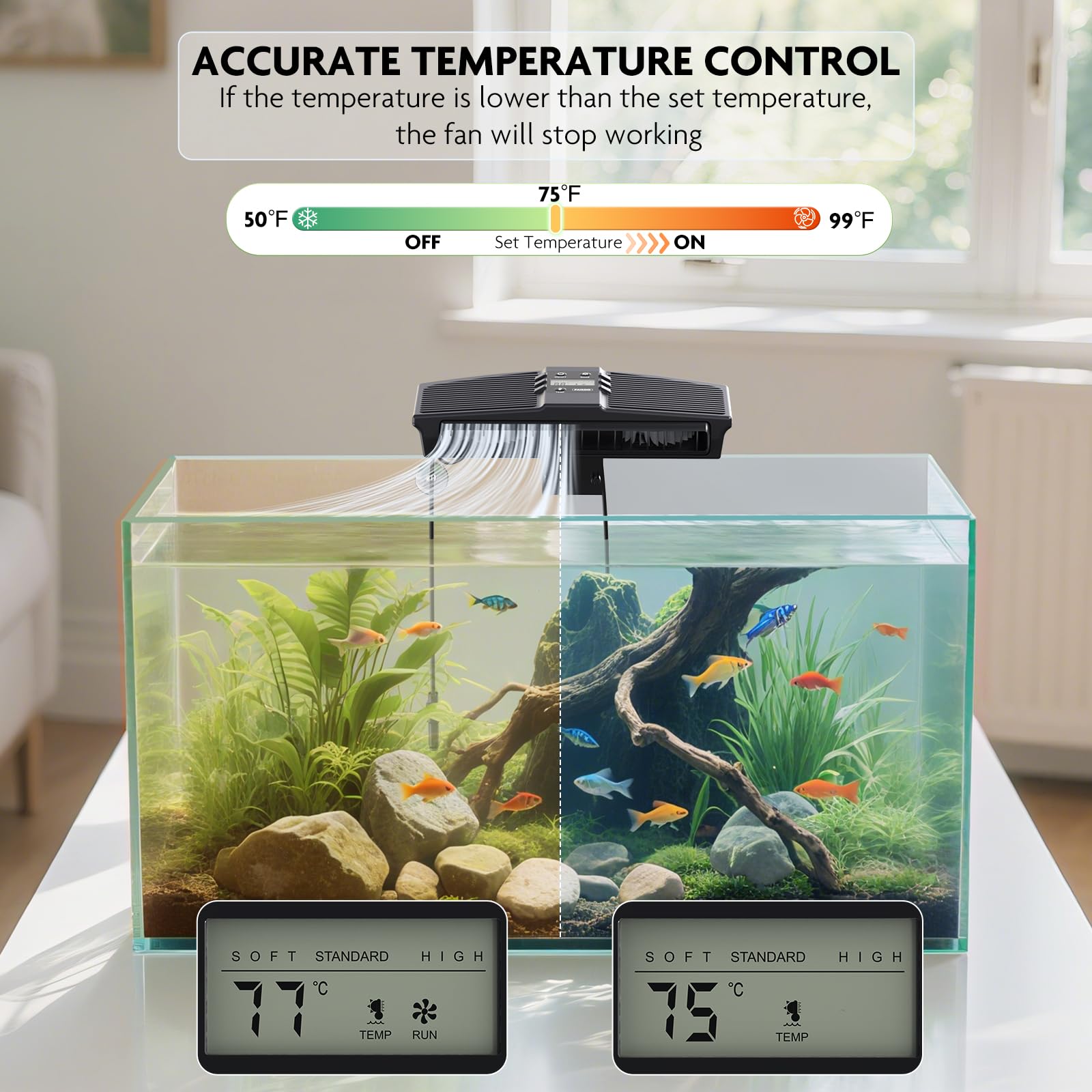 PAIZOO LCD display with temperature probe highlighting real-time readings