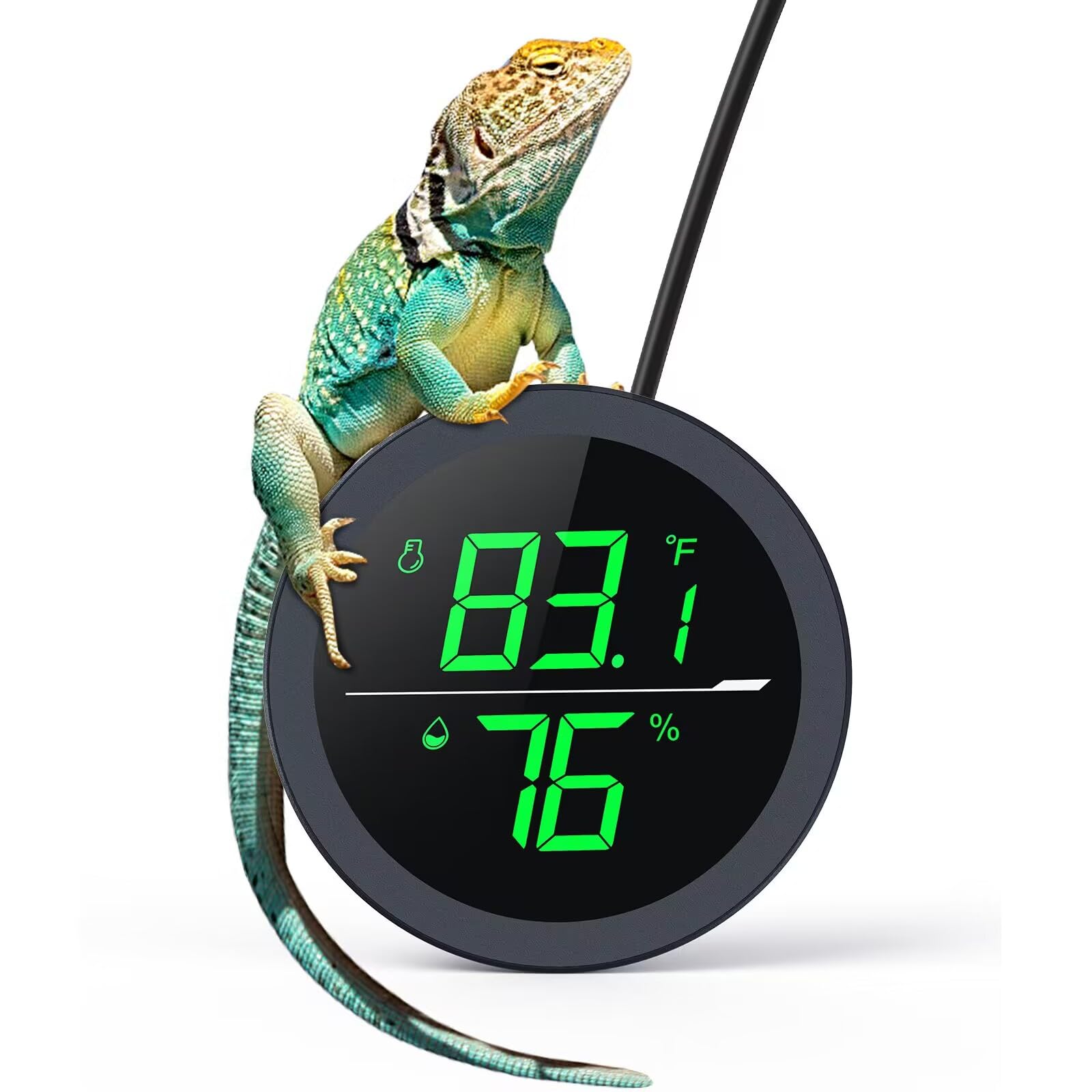 PAIZOO thermohygrometer front view delivers precise terrarium climate data.