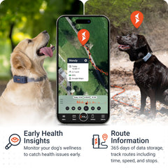 PAJ GPS tracker collar-attachment shows easy Velcro setup on any collar.