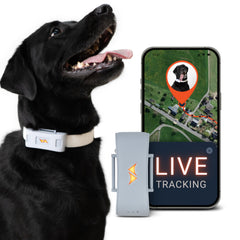 PAJ GPS tracker shows live-tracking for real-time dog location during daily adventures.