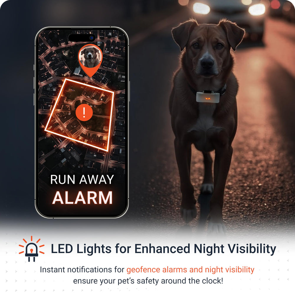 PAJ GPS tracker glowing LEDs aid visibility during evening walks.