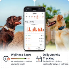 PAJ GPS tracker IP67 waterproof design withstands rain and swims during adventures.