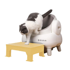 PAKEWAY cat ramp main view shows easy access for small cats