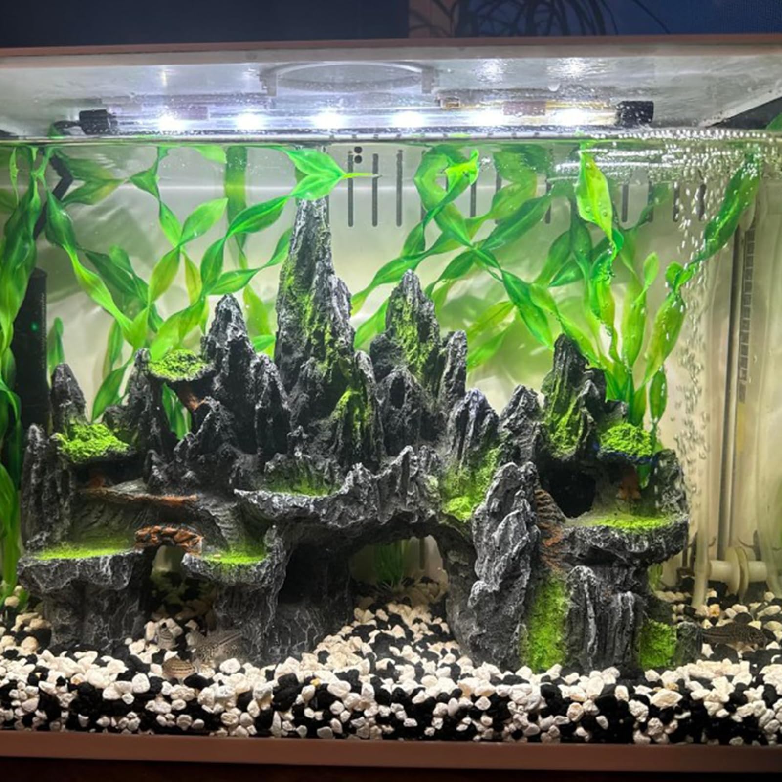 PakyKai artificial plants brighten the tank and complement the decor.