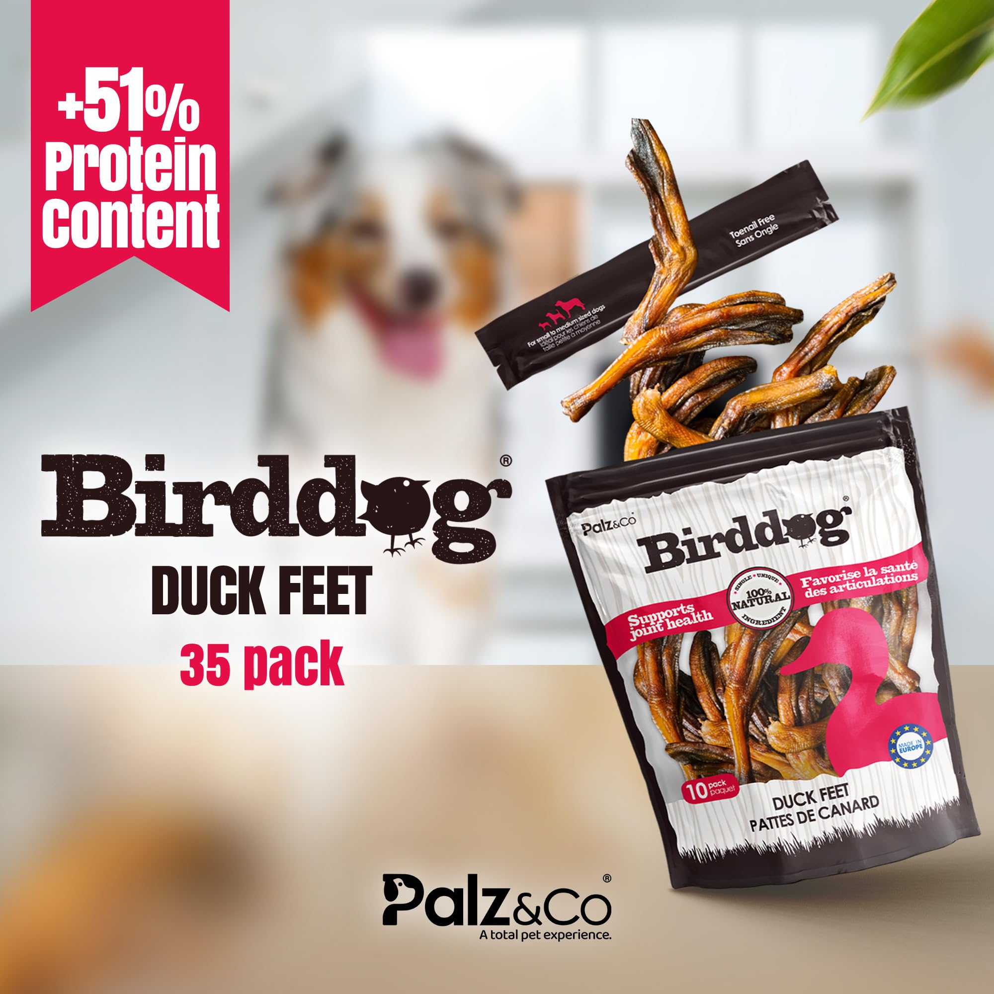Palz&Co duck feet 10-count bag shown for easy portioning.