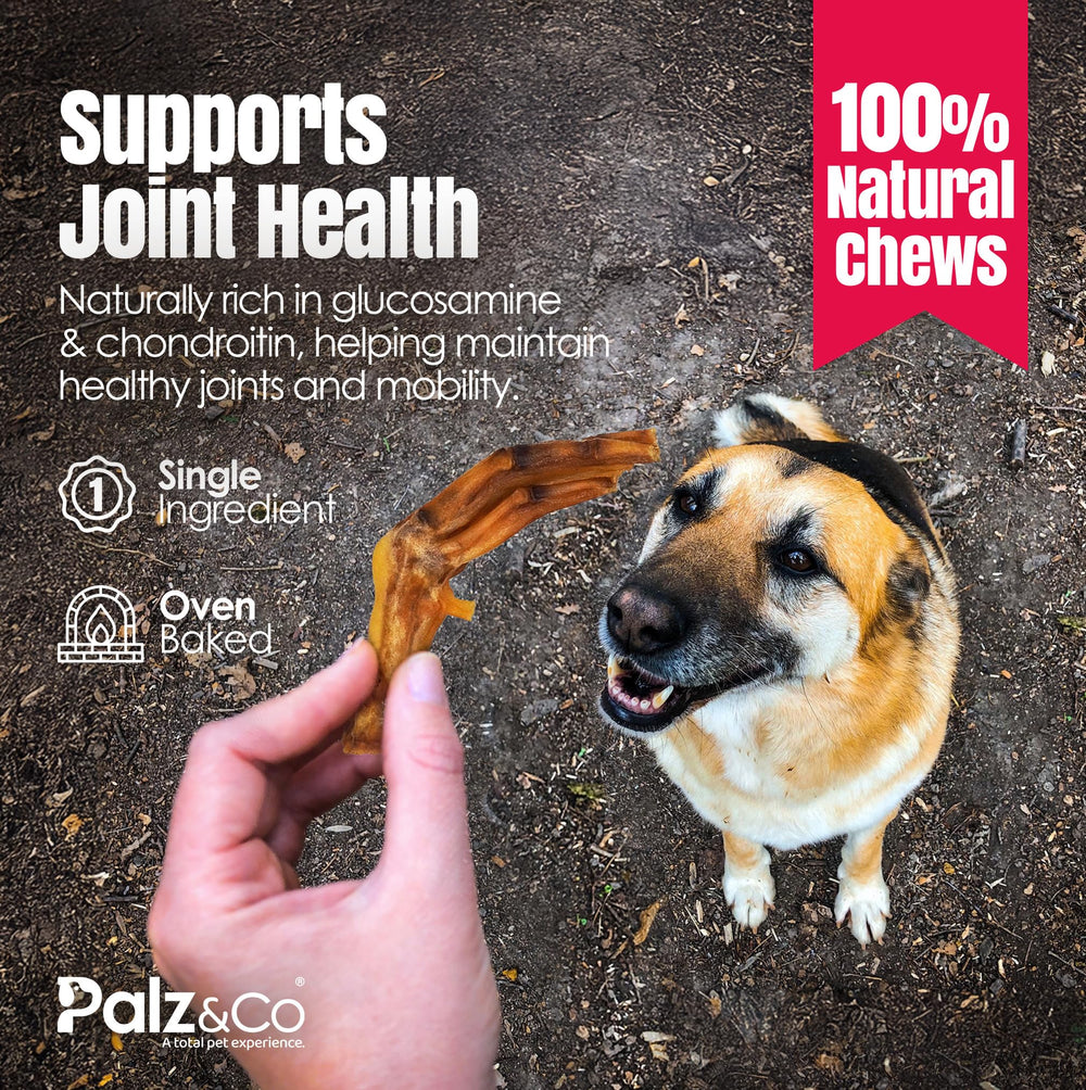 Palz&Co duck feet joint-support visuals highlight glucosamine benefits.