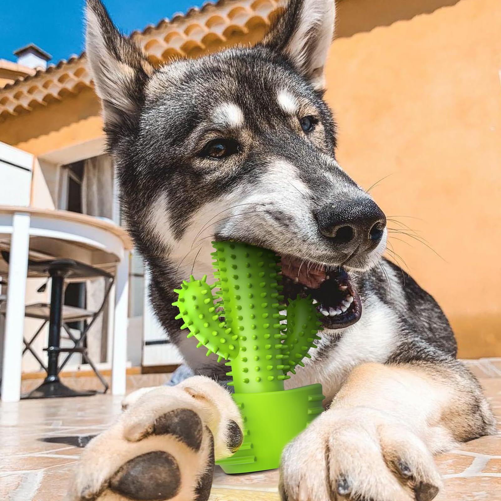 Pamlulu tug-of-war-friendly design invites interactive play and stress relief
