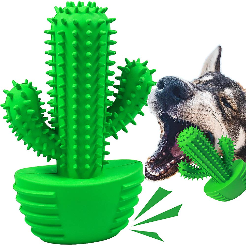 Pamlulu: juguete dental para perro tipo palito facilita la limpieza durante el juego