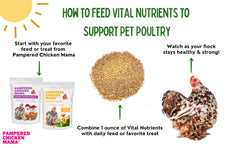 Pampered Chicken Mama chickens enjoy taste-enhanced vitamins during daily treats and meals.
