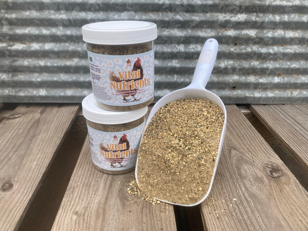 Pampered Chicken Mama egg booster shot shows healthier-looking eggs and lively flocks.