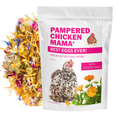 Pampered Chicken Mama nesting herbs in coop setup offering natural enrichment