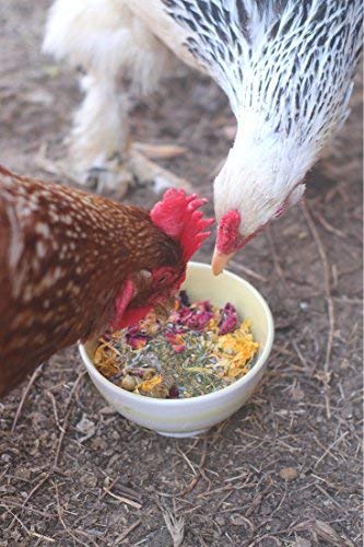 Pampered Chicken Mama rose petals alfalfa scent creates inviting coop aroma