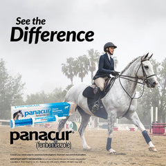 Panacur 3-pack dewormer provides ready supply for routine care