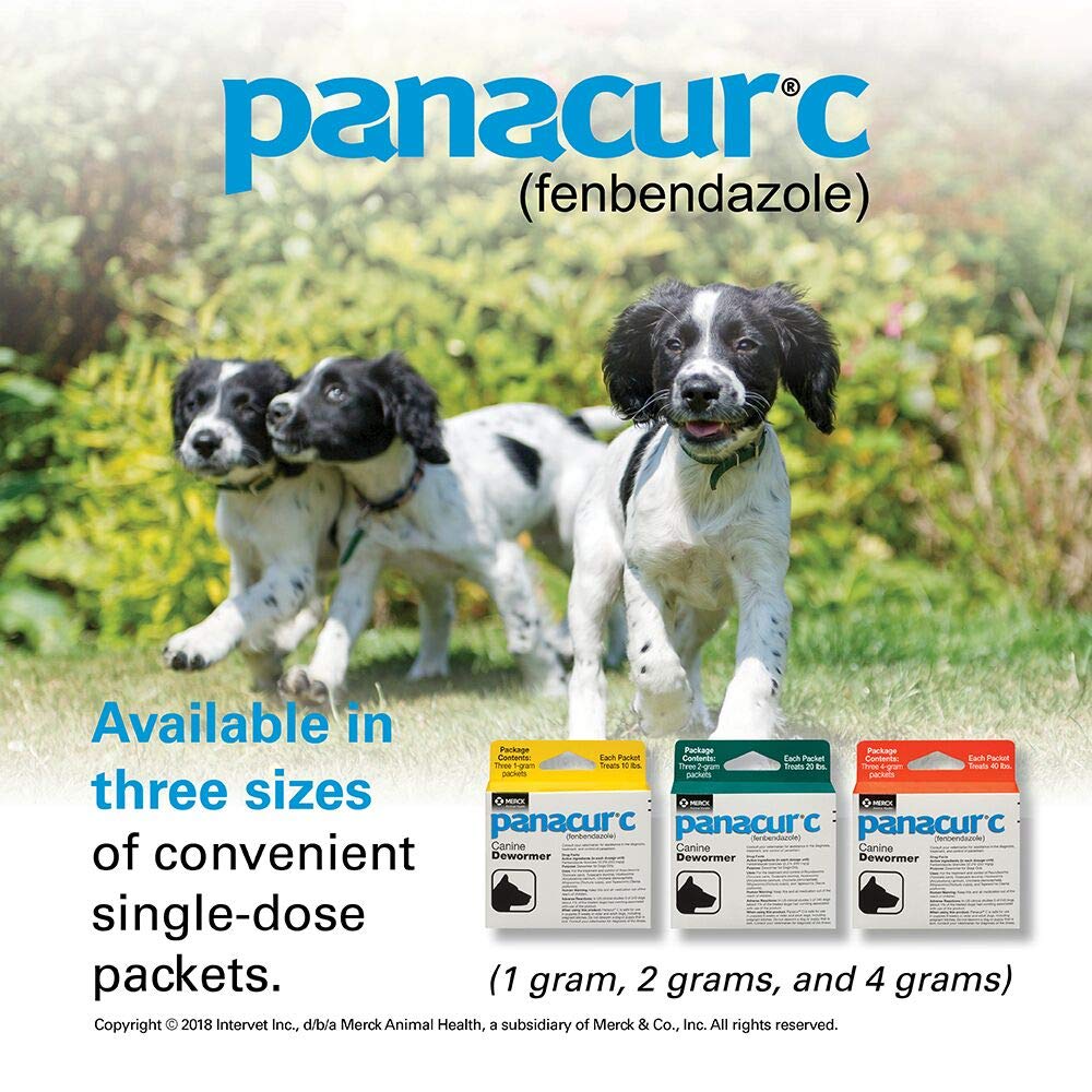 Panacur C es seguro para perros desde 6 semanas y gestantes.