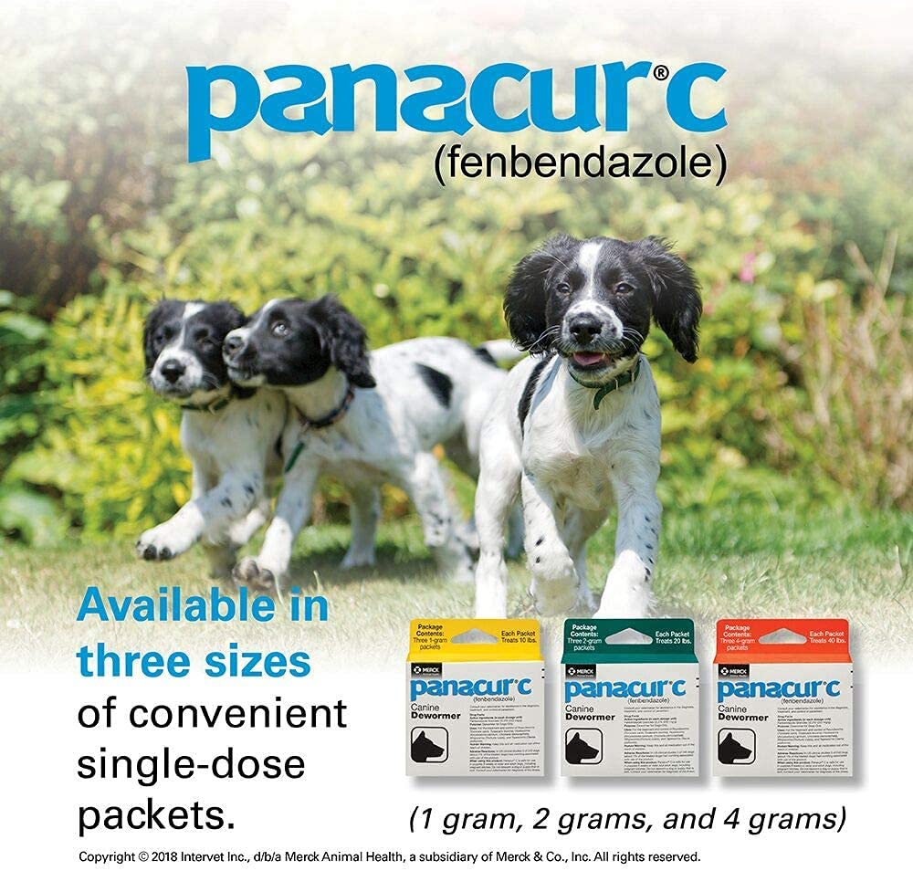 Panacur C label and timetable reminder for 3-day deworming schedule.