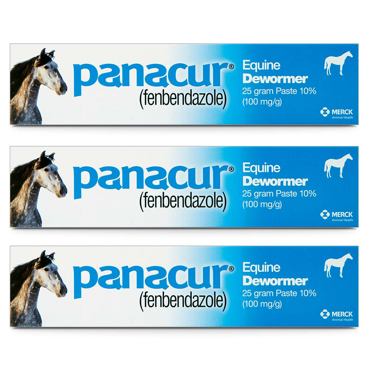 Panacur horse paste 10% bottle with 100 mg dose for easy administration
