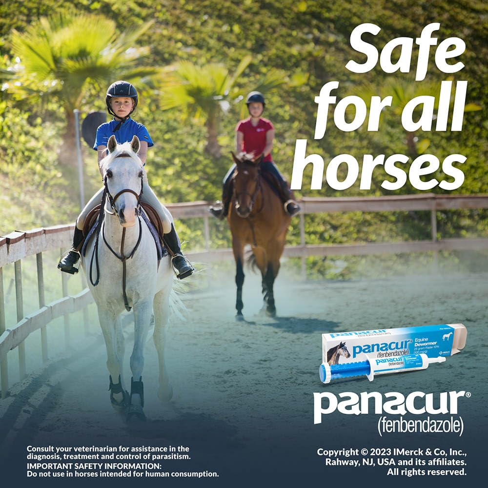 Panacur horse paste dosing aid supports straightforward administration