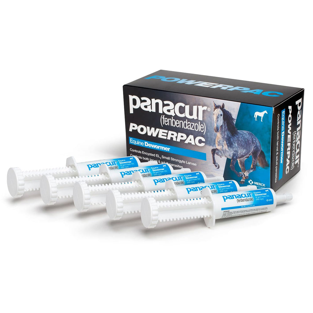 Equine care setup featuring Panacur Powerpac for routine deworming planning.