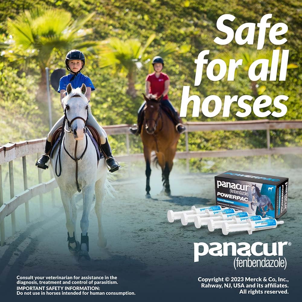 Stable environment with Panacur Powerpac in dosing-ready arrangement.