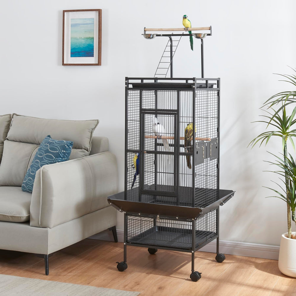Panana bird cage interior reveals wide space for budgies and conures to roam.