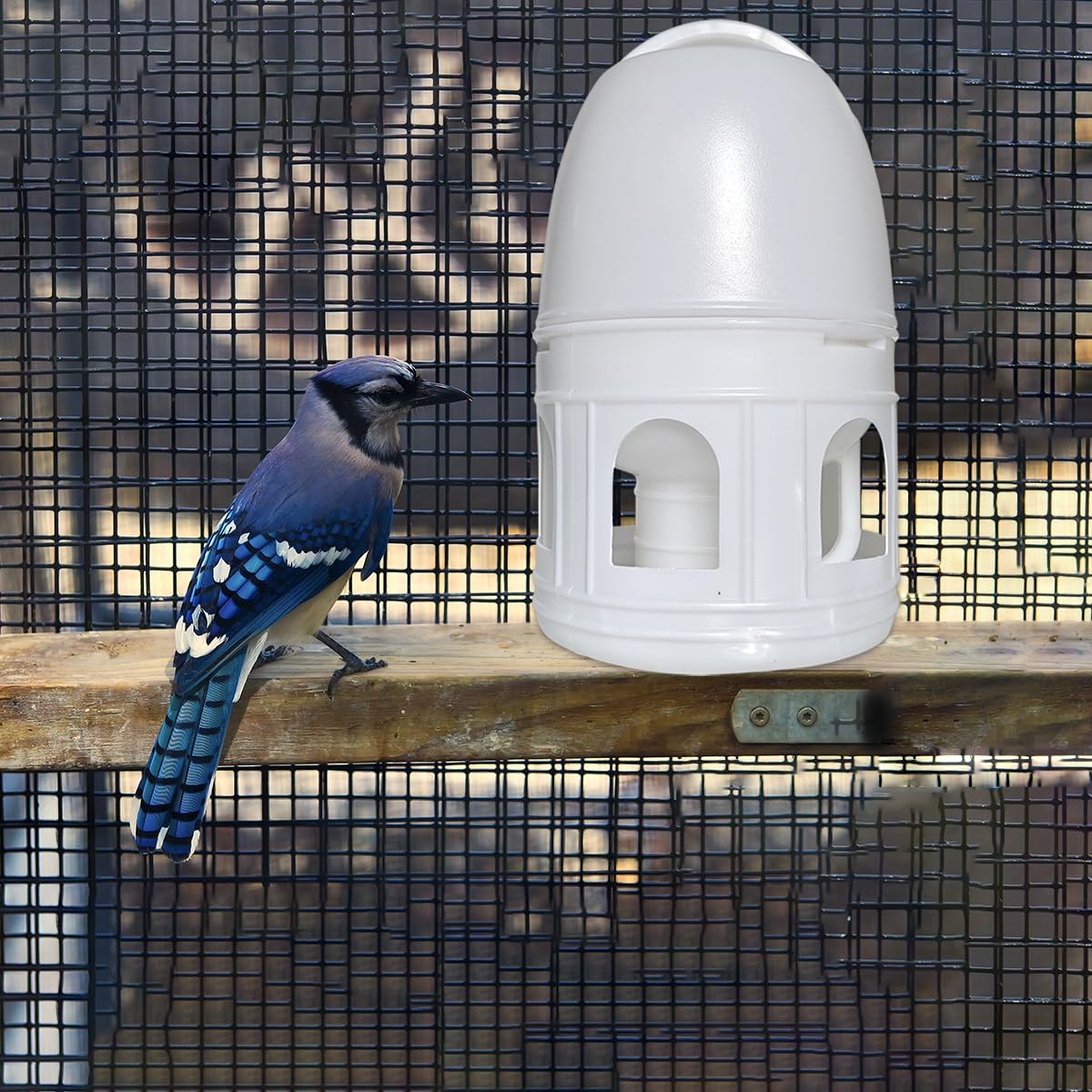 Panchitalk split-design feeder allows effortless disassembly for clean refills.