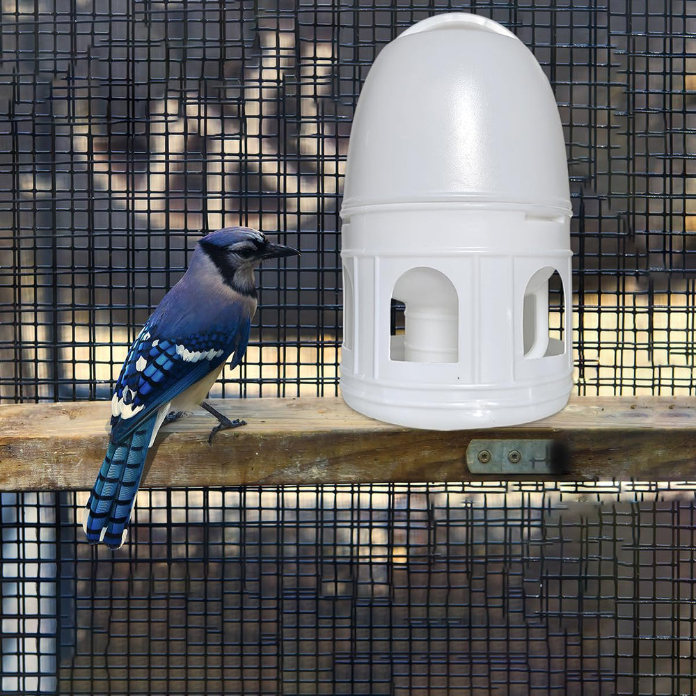 Panchitalk split-design feeder allows effortless disassembly for clean refills.