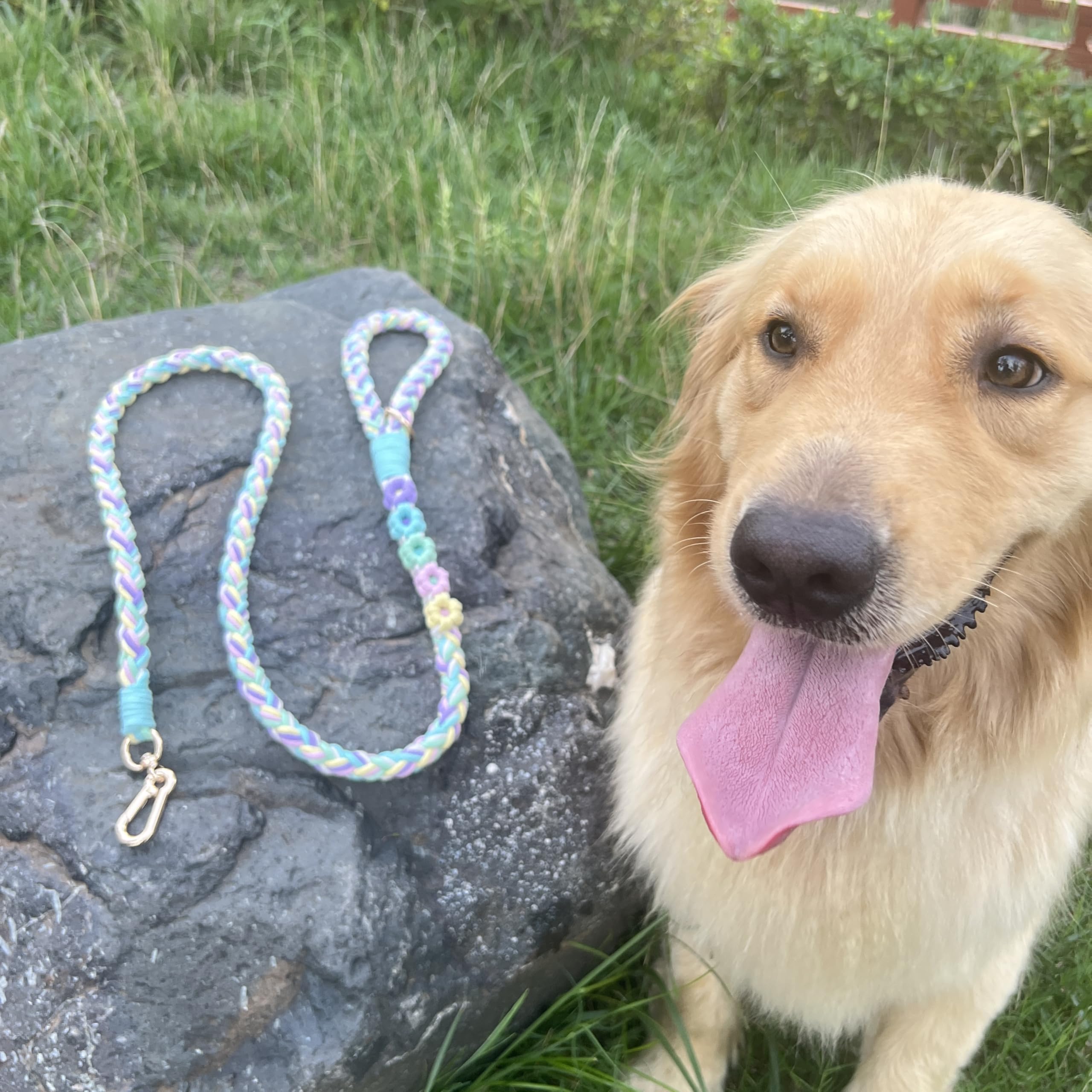Panda Jianghu gift-ready leash ideal for dog owners