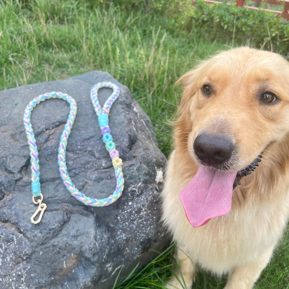 Panda Jianghu gift-ready leash ideal for dog owners