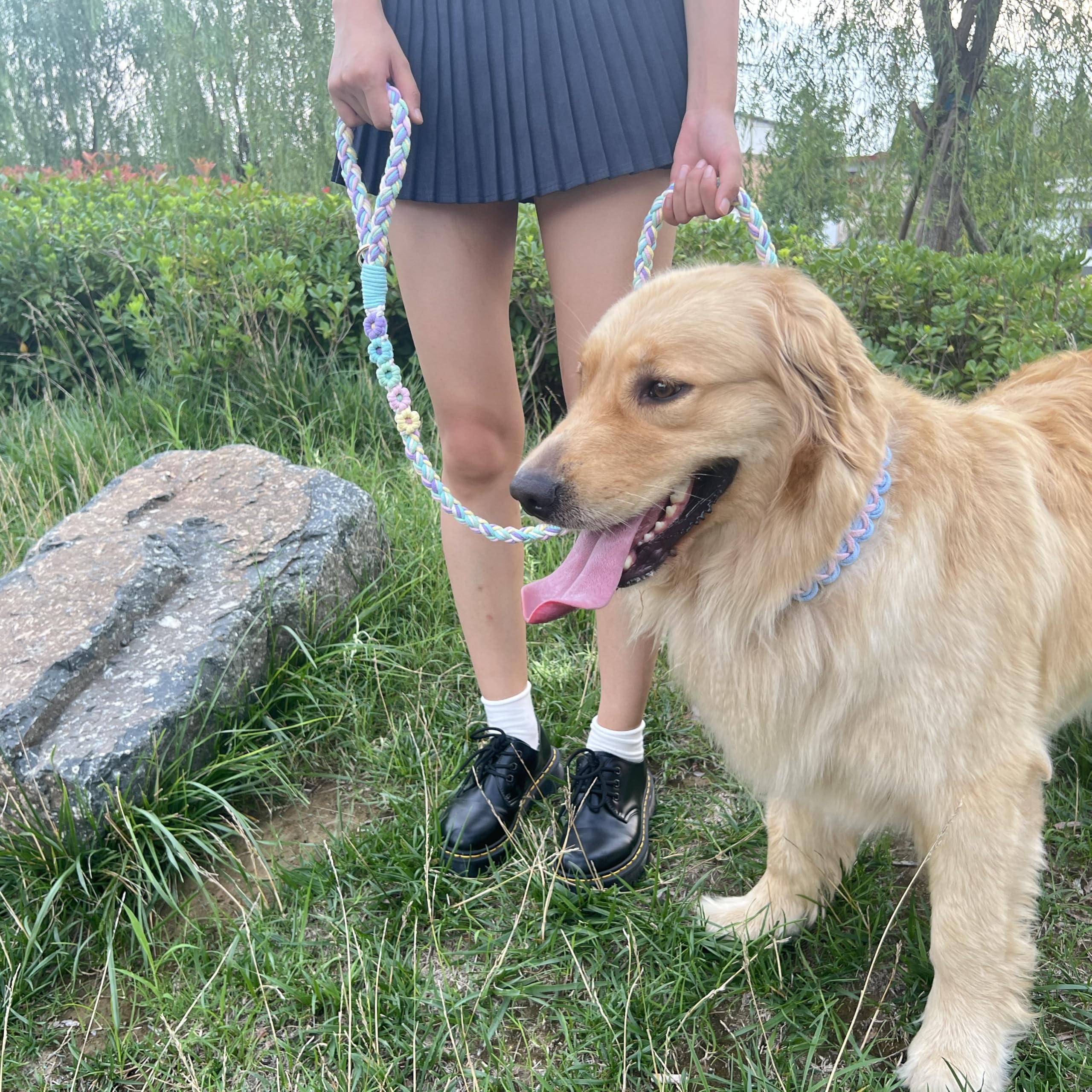 Panda Jianghu stylish dog leash elevates everyday strolls