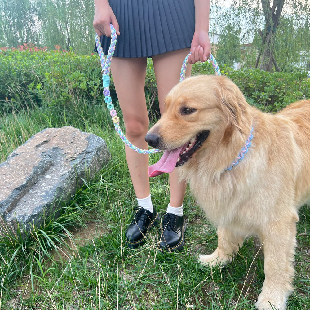 Panda Jianghu stylish dog leash elevates everyday strolls