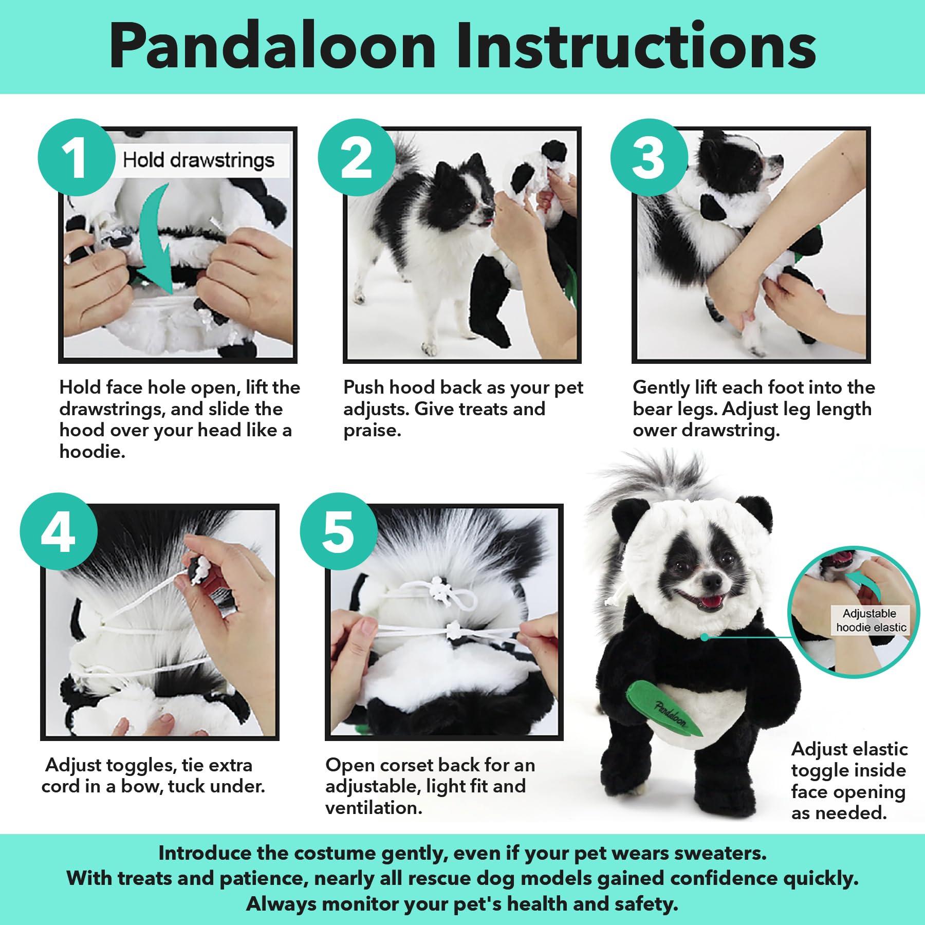 Pandaloon front-facing walking teddy-bear look photo to boost playful pet moments.