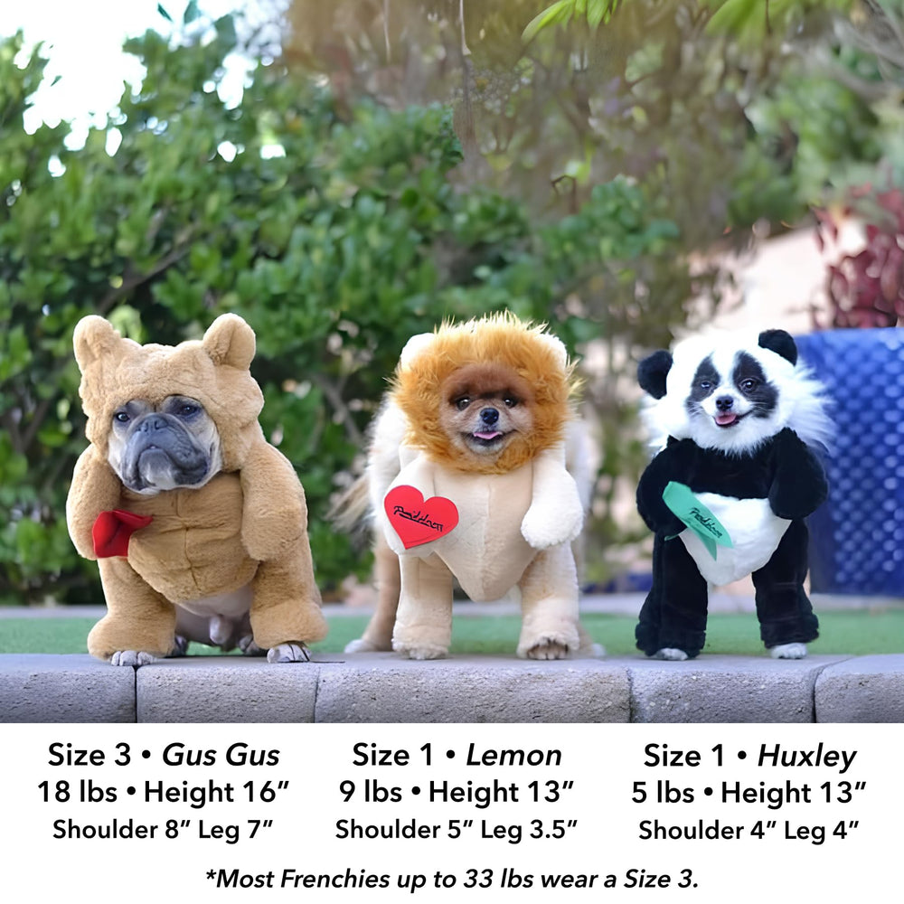 Pandaloon patented design closeup highlights adjustable fit for versatile small to medium dogs.