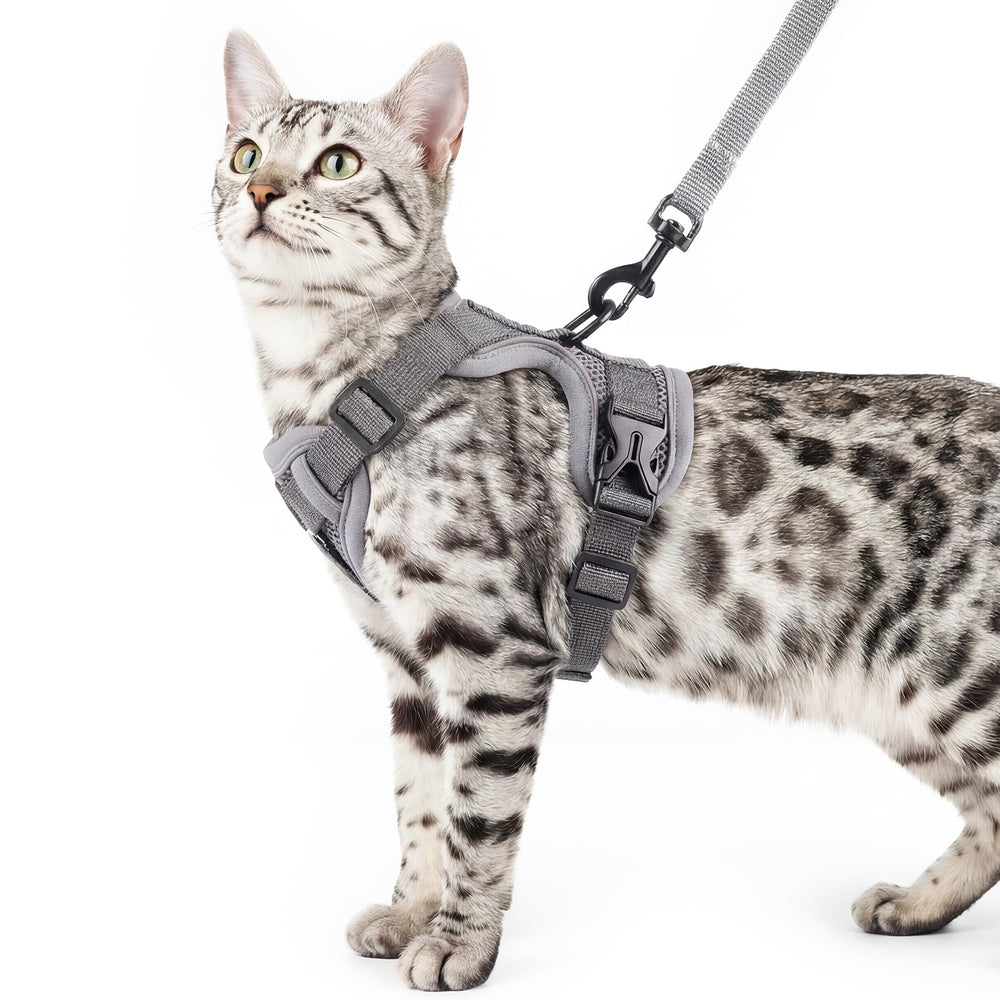 pangdi Cat Harness with adjustable straps for a secure, comfortable fit during walks.
