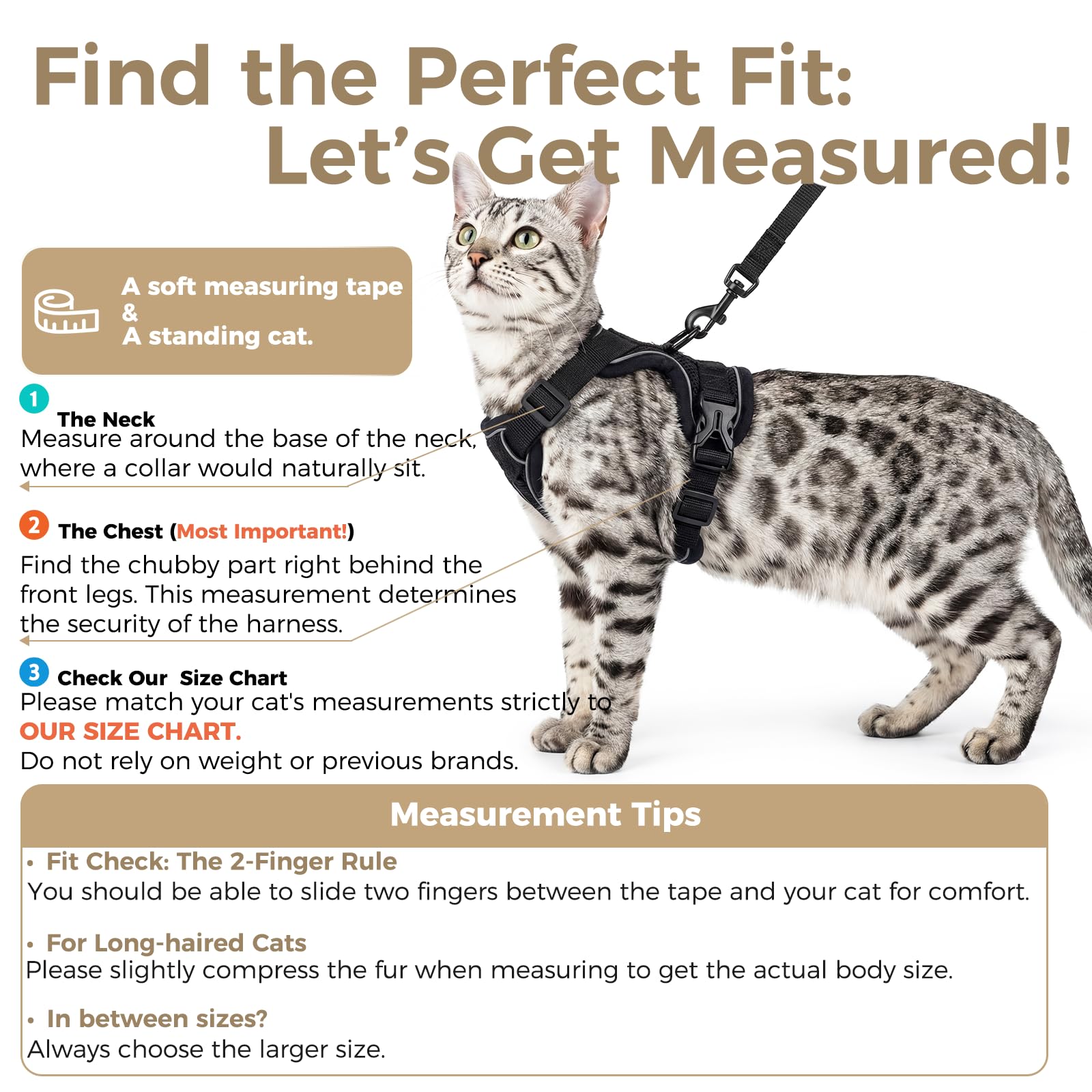 pangdi Cat Harness and Leash Set shows adjustable straps for a customized, comfortable fit