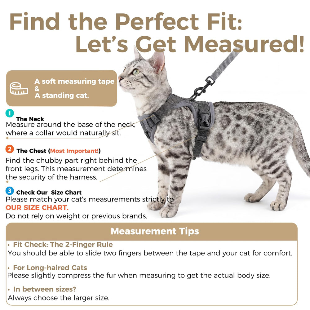 Pangdi cat harness with adjustable straps enables a customized snug fit.