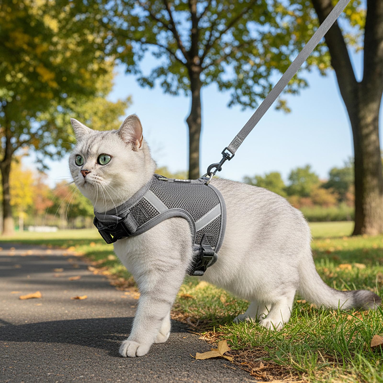 Pangdi cat harness escape-proof grey XX-Large back view showing secure closures