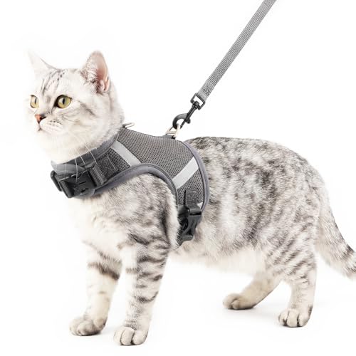 Pangdi cat harness escape-proof grey XX-Large front view for secure outdoor adventures