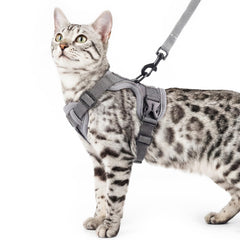 Pangdi cat harness grey vest closeup showing adjustable fit for secure daily wear.