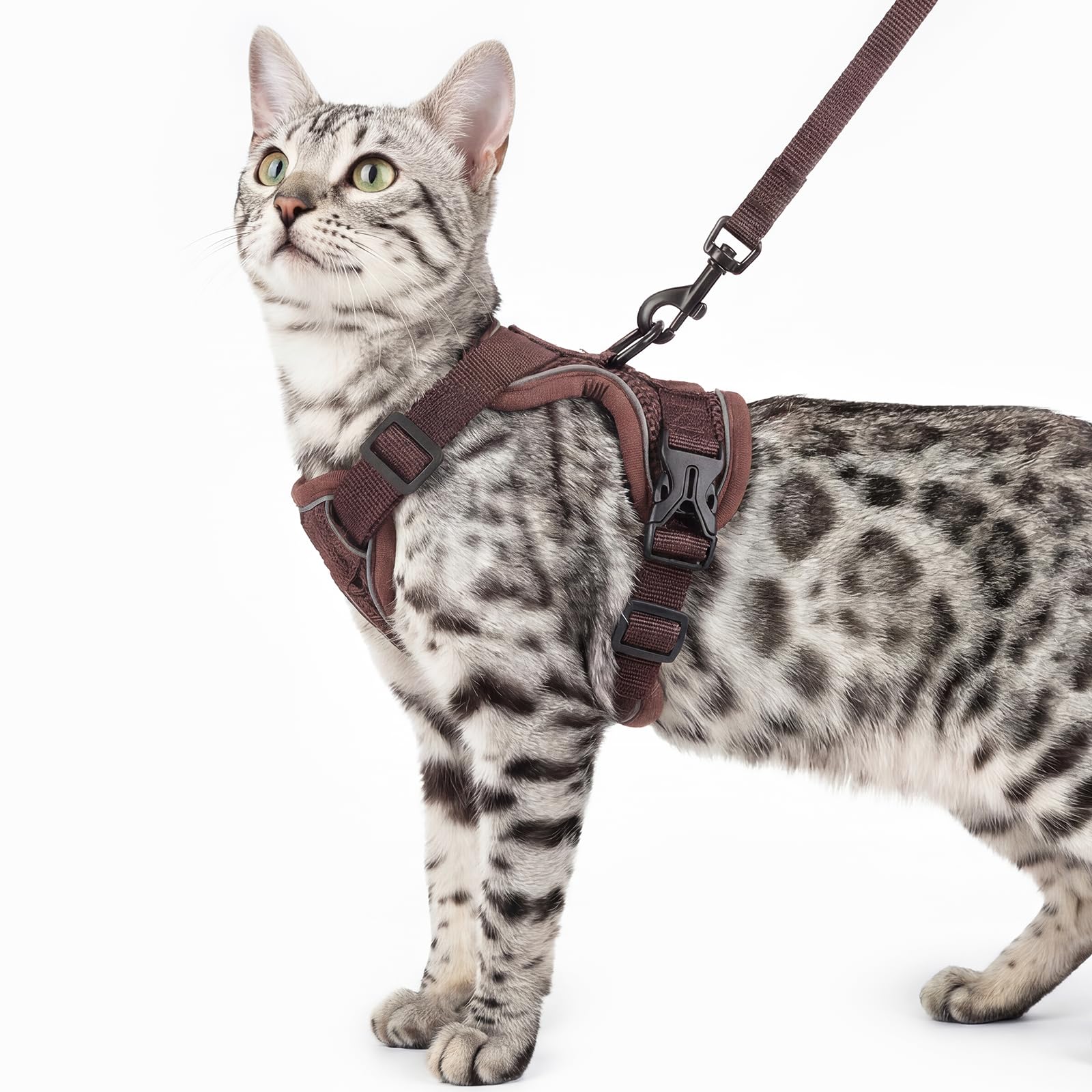 Pangdi cat harness and leash set with adjustable straps for secure, comfortable fit.