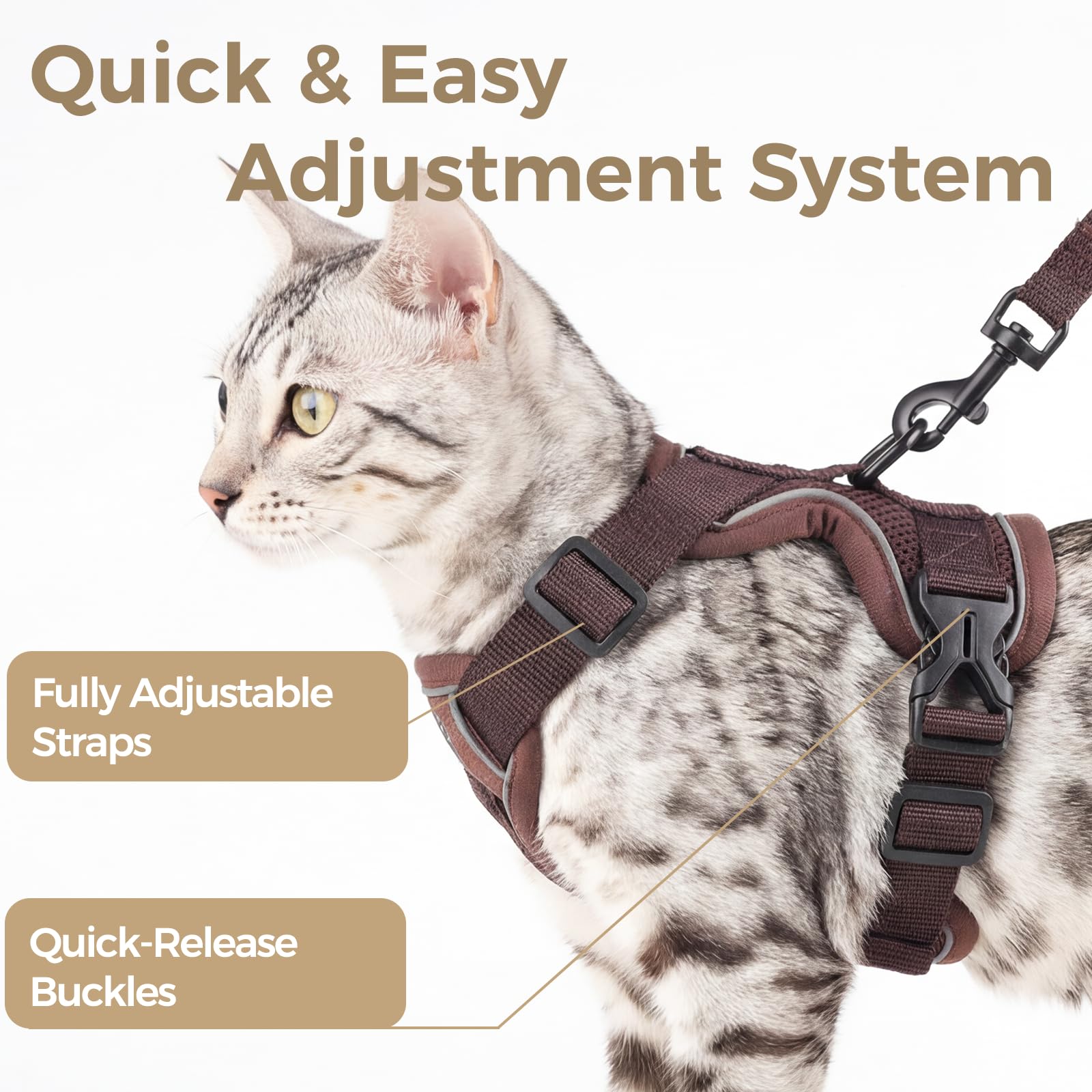 Pangdi leash-set provides easy control to keep your cat close during outings.