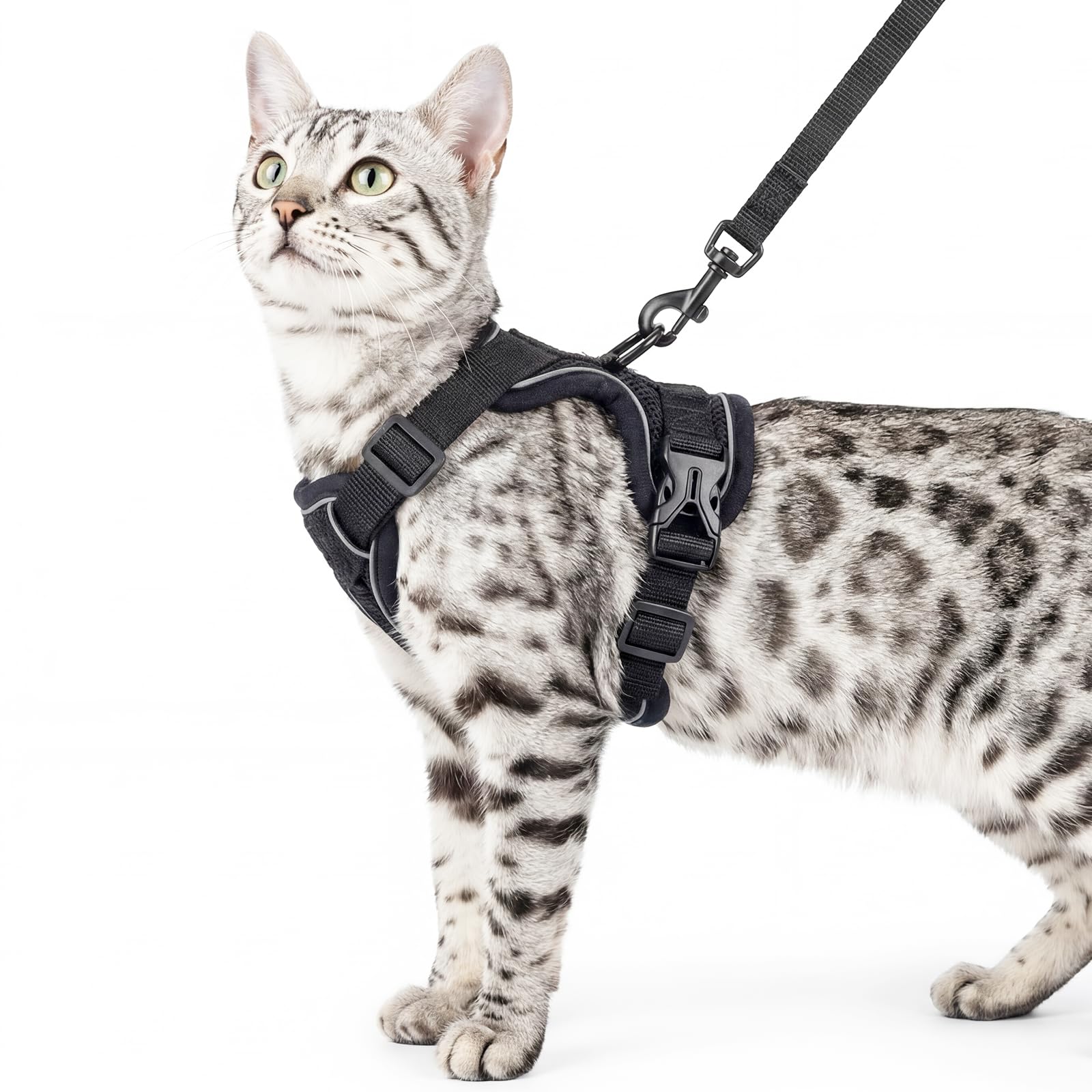 pangdi Cat Harness and Leash Set escape-proof full kit for safe outdoor adventures